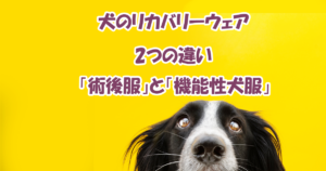 犬のリカバリーウェア　2つの違い